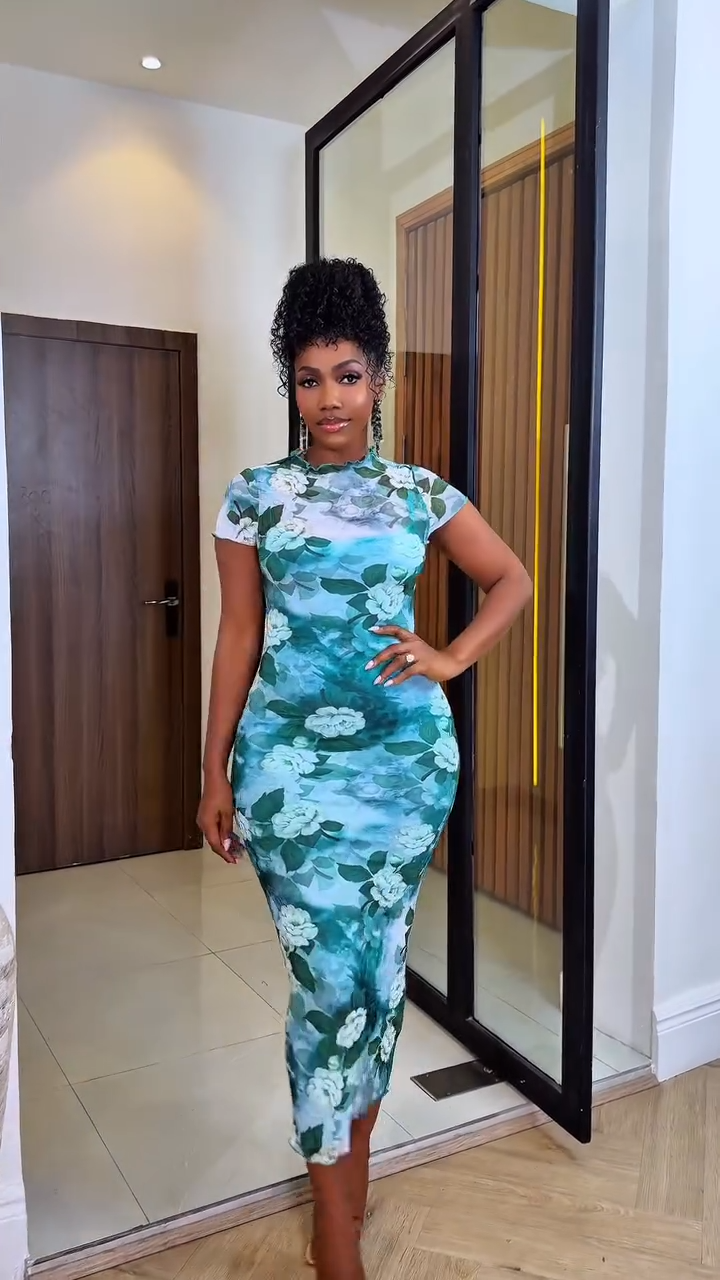 Nini Mesh Dress