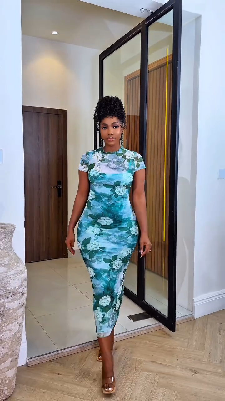 Nini Mesh Dress