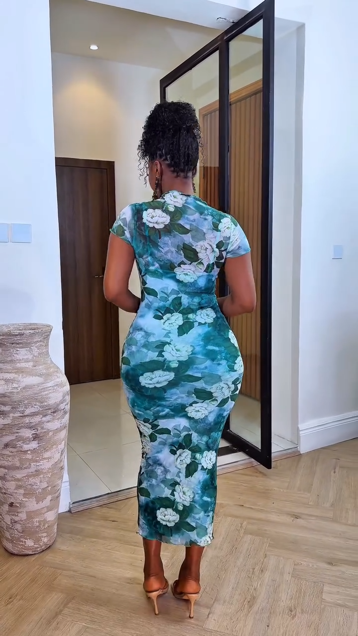 Nini Mesh Dress